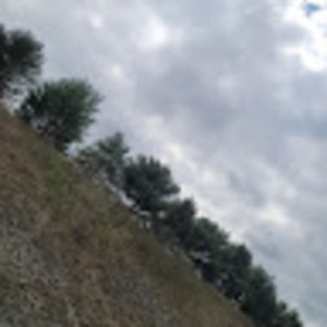 Meet your Posher, Craig